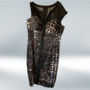 Jax cocktail dress with mesh